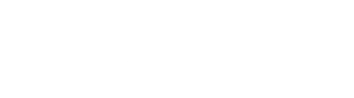 Palo Alto Networks